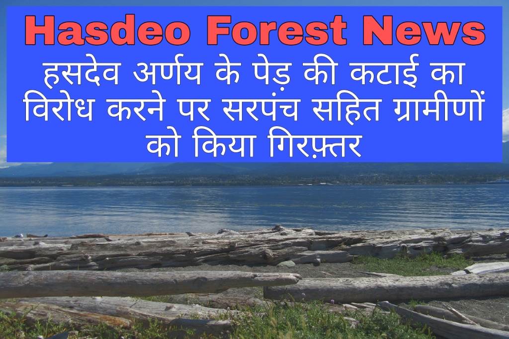 Hasdev forest news