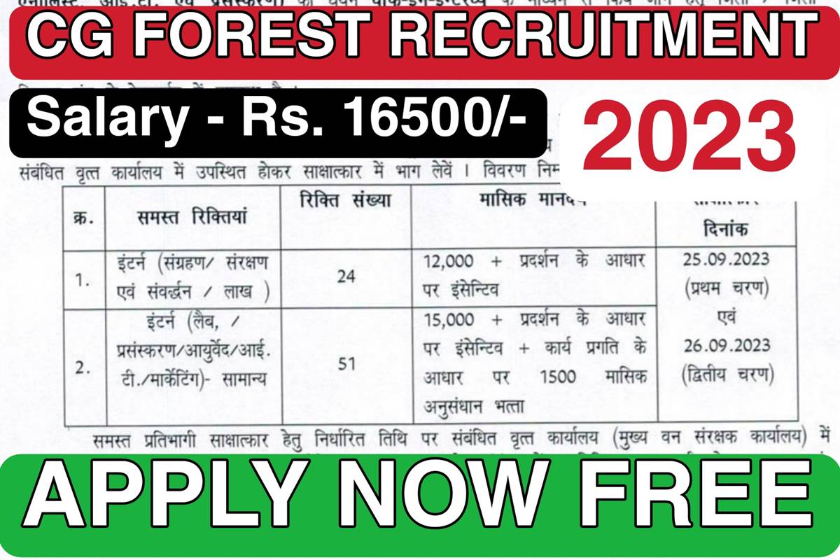 CG Forest Job Vacancy 2023